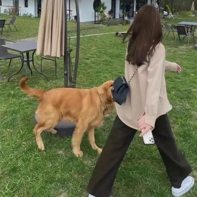 假扮姑婆